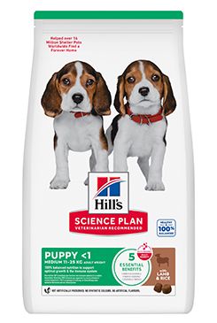 Hill's Can. SP Puppy Medium Lamb&Rice 14kg