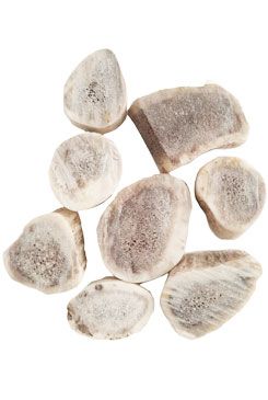 Pochoutka paroží Daněk pro hlodavce 30g
