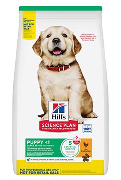 Hill's Can. SP Pro štěňata velkých plemen Kuřecí 6kg