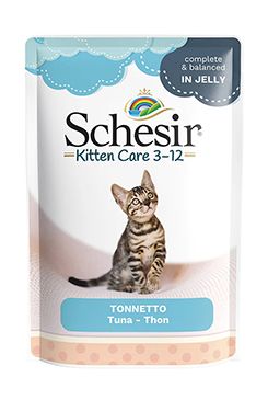 Schesir Cat kapsa Kitten Tuňák želé 150g